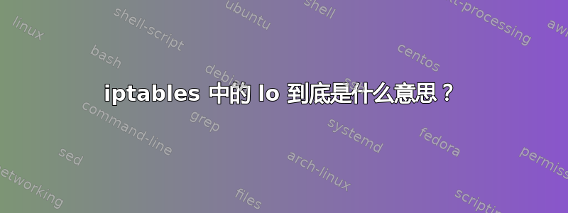 iptables 中的 lo 到底是什么意思？