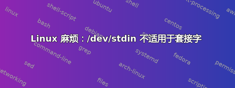 Linux 麻烦：/dev/stdin 不适用于套接字