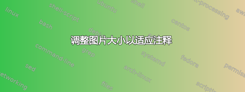 调整图片大小以适应注释