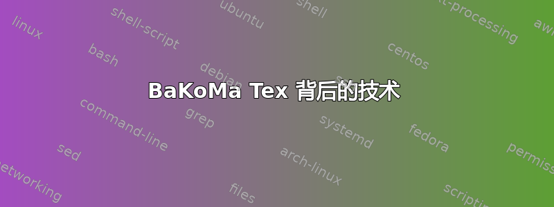 BaKoMa Tex 背后的技术