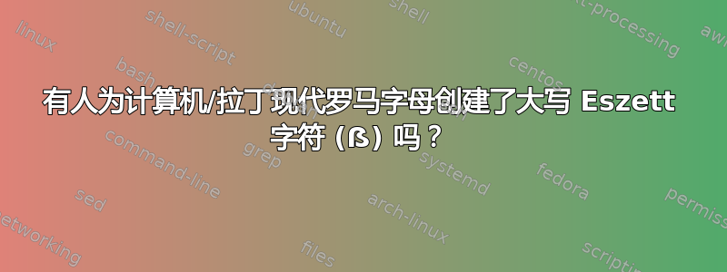 有人为计算机/拉丁现代罗马字母创建了大写 Eszett 字符 (ẞ) 吗？