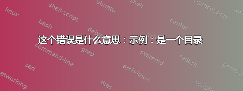 这个错误是什么意思：示例：是一个目录