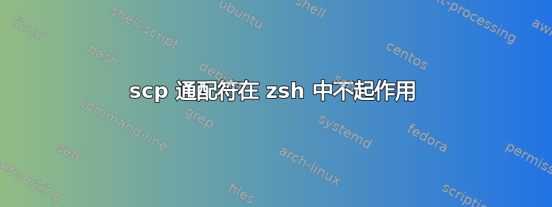 scp 通配符在 zsh 中不起作用