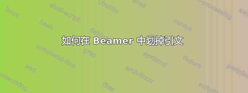 如何在 Beamer 中划掉引文