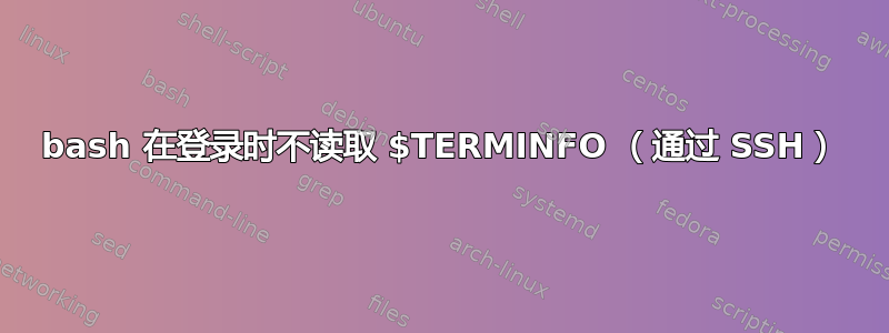 bash 在登录时不读取 $TERMINFO （通过 SSH）