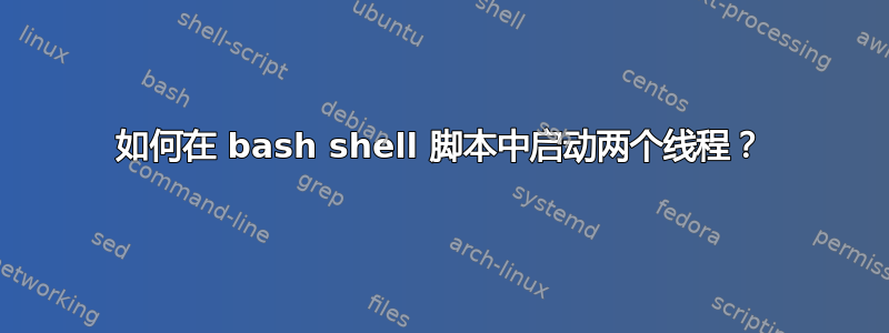 如何在 bash shell 脚本中启动两个线程？