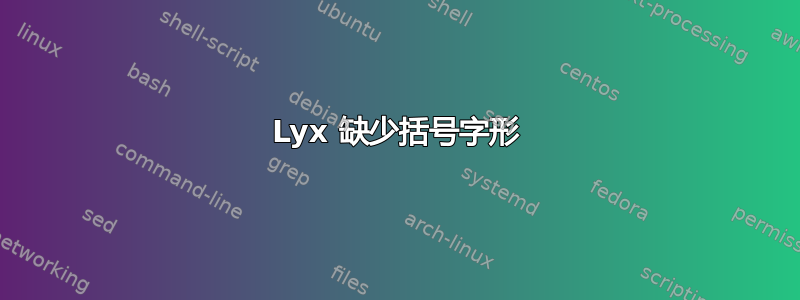 Lyx 缺少括号字形