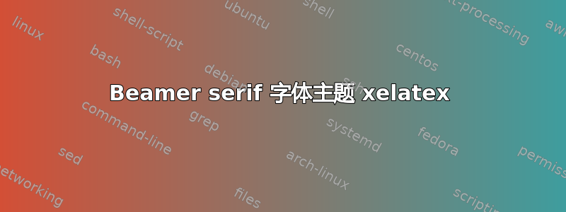 Beamer serif 字体主题 xelatex