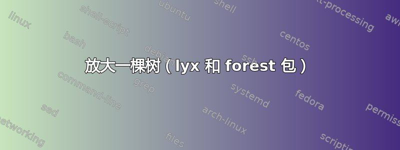 放大一棵树（lyx 和 forest 包）