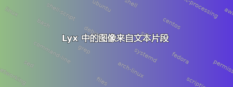 Lyx 中的图像来自文本片段