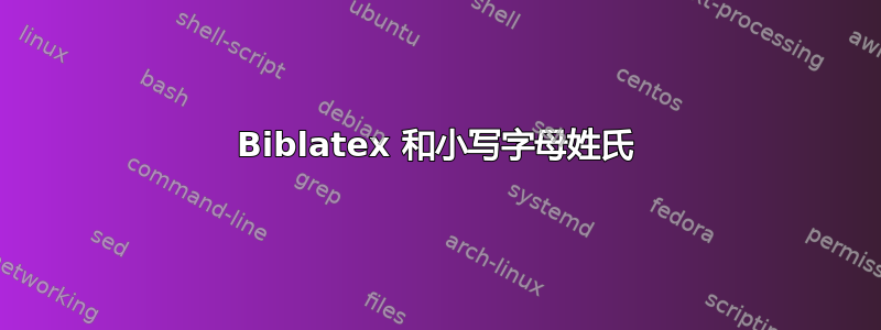 Biblatex 和小写字母姓氏