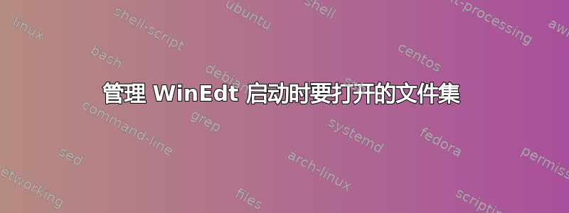 管理 WinEdt 启动时要打开的文件集