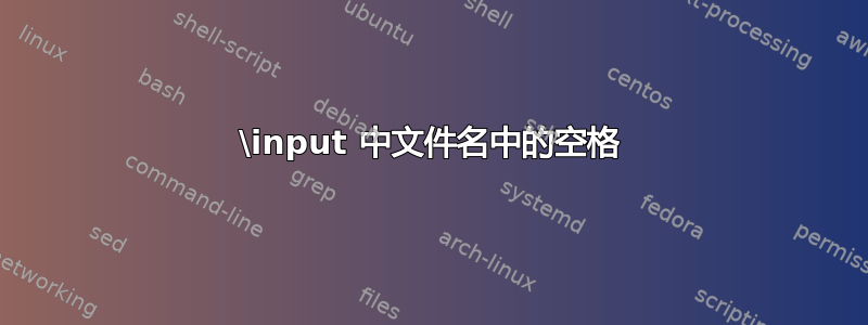 \input 中文件名中的空格