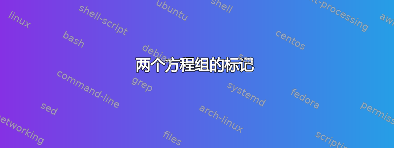 两个方程组的标记