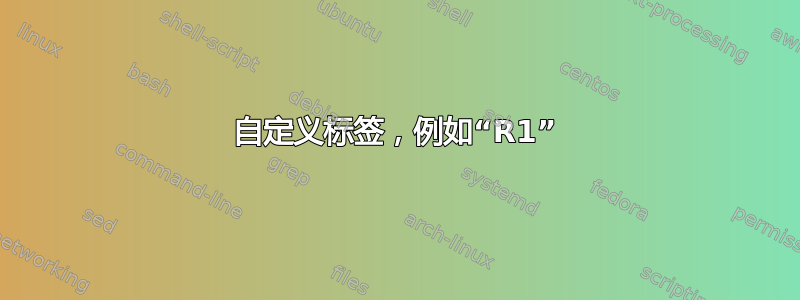 自定义标签，例如“R1”