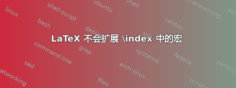 LaTeX 不会扩展 \index 中的宏