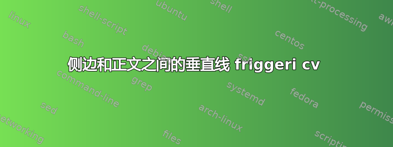 侧边和正文之间的垂直线 friggeri cv