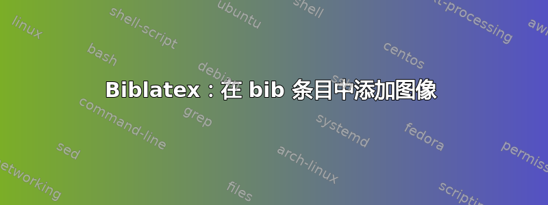 Biblatex：在 bib 条目中添加图像