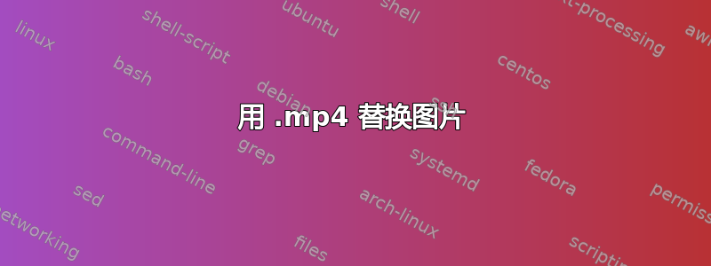 用 .mp4 替换图片