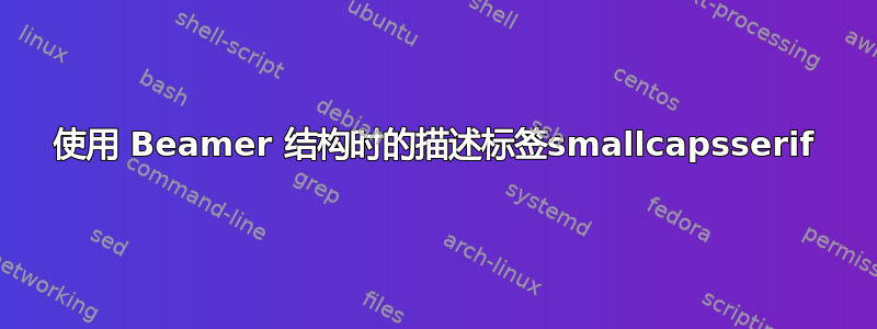 使用 Beamer 结构时的描述标签smallcapsserif