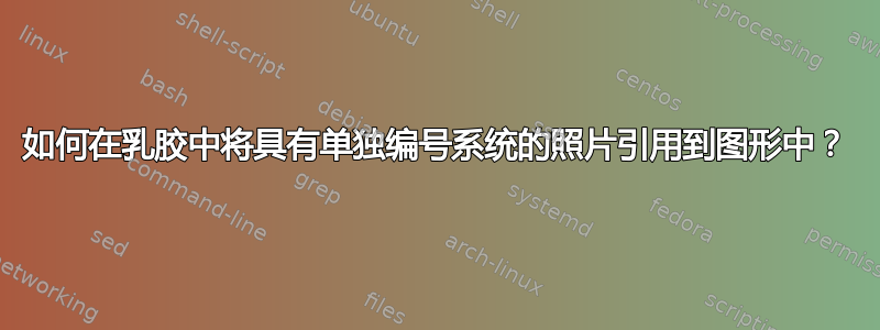 如何在乳胶中将具有单独编号系统的照片引用到图形中？