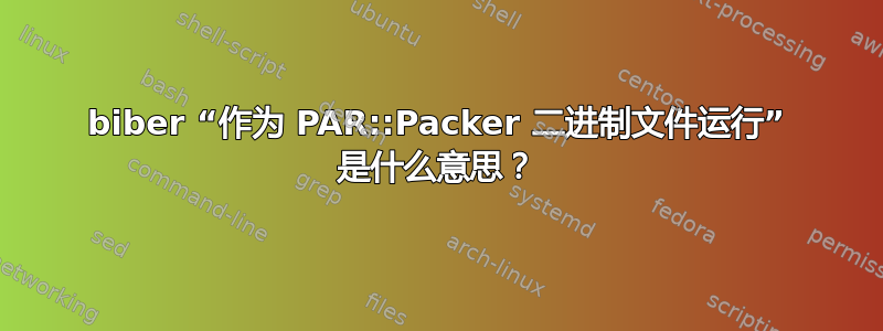 biber “作为 PAR::Packer 二进制文件运行” 是什么意思？