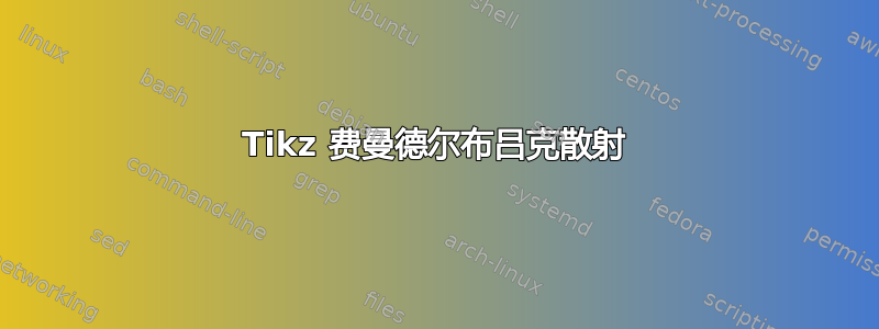 Tikz 费曼德尔布吕克散射