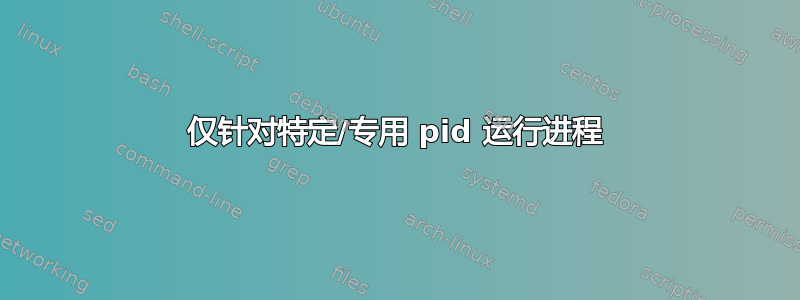 仅针对特定/专用 pid 运行进程