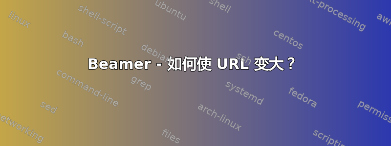 Beamer - 如何使 URL 变大？