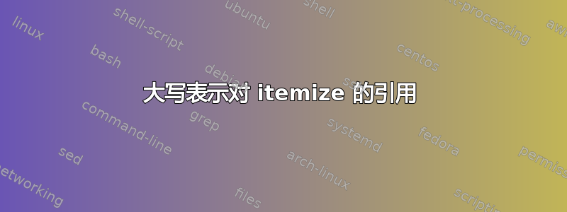 大写表示对 itemize 的引用