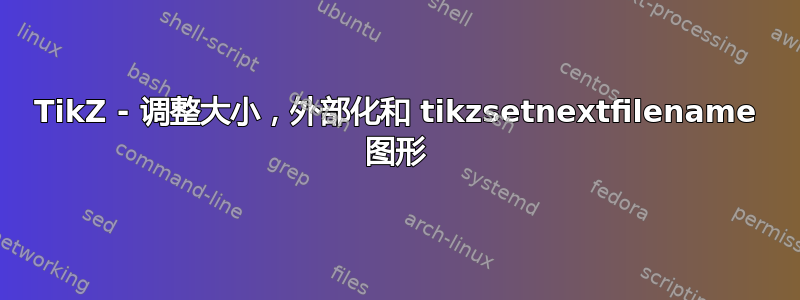 TikZ - 调整大小，外部化和 tikzsetnextfilename 图形