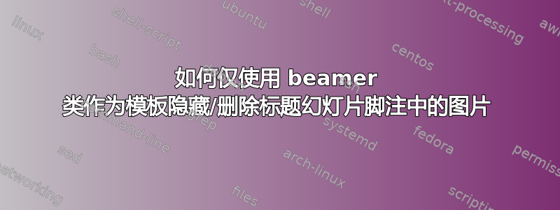 如何仅使用 beamer 类作为模板隐藏/删除标题幻灯片脚注中的图片