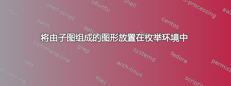 将由子图组成的图形放置在枚举环境中