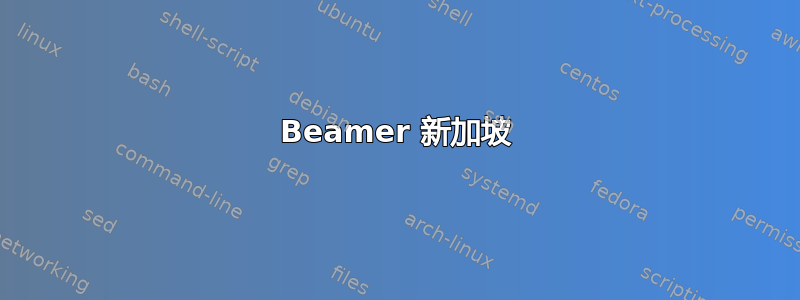 Beamer 新加坡