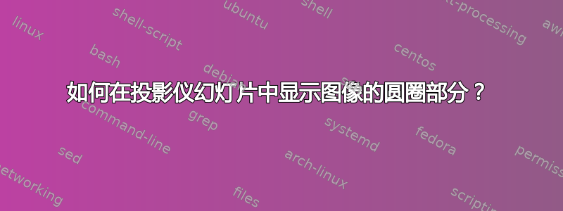 如何在投影仪幻灯片中显示图像的圆圈部分？