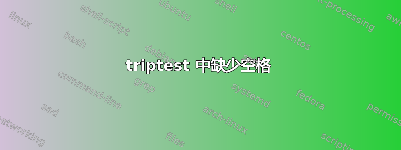 triptest 中缺少空格