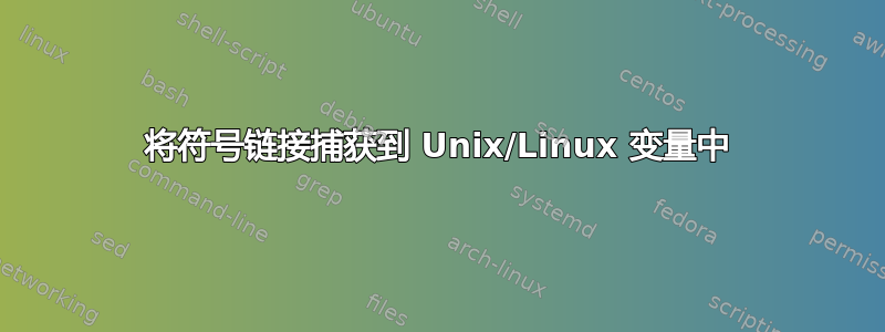 将符号链接捕获到 Unix/Linux 变量中