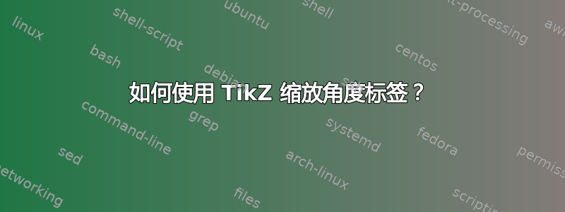 如何使用 TikZ 缩放角度标签？