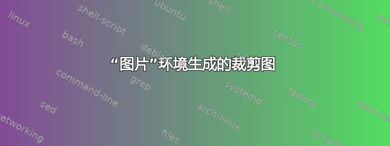 “图片”环境生成的裁剪图