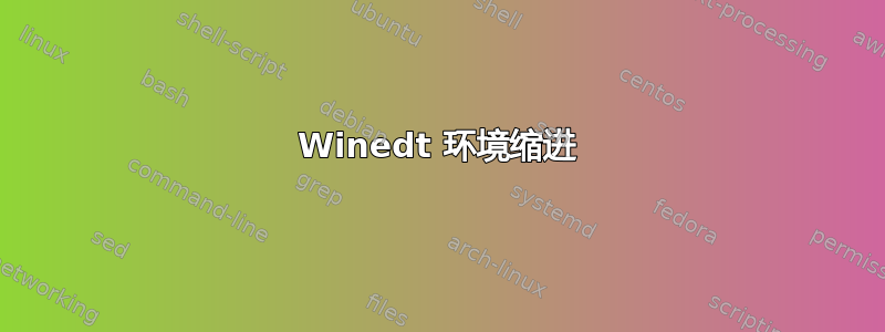 Winedt 环境缩进