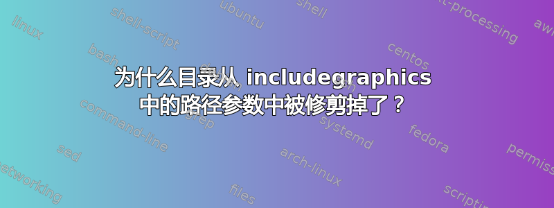 为什么目录从 includegraphics 中的路径参数中被修剪掉了？