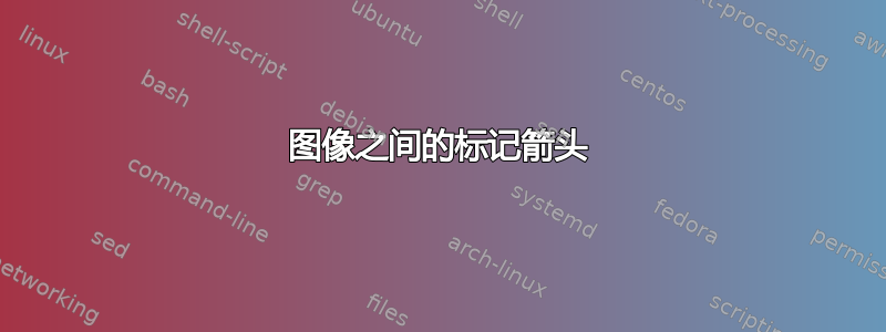 图像之间的标记箭头