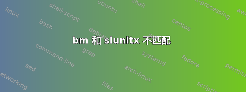 bm 和 siunitx 不匹配