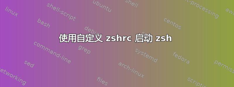 使用自定义 zshrc 启动 zsh