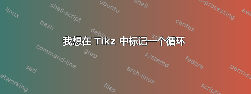 我想在 Tikz 中标记一个循环