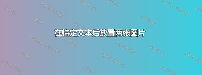 在特定文本后放置两张图片