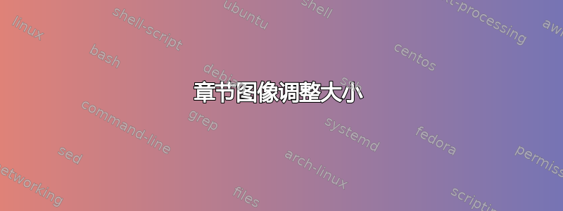 章节图像调整大小