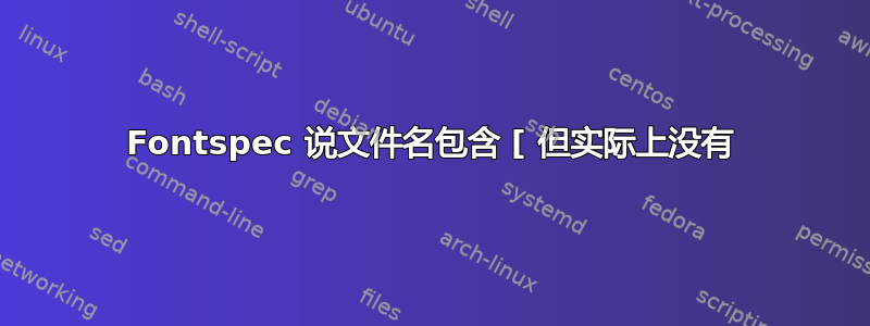 Fontspec 说文件名包含 [ 但实际上没有