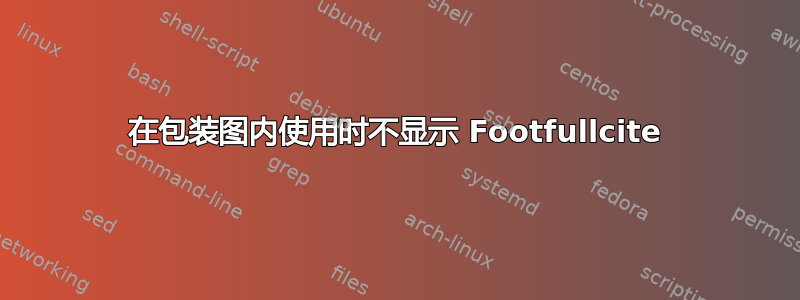 在包装图内使用时不显示 Footfullcite