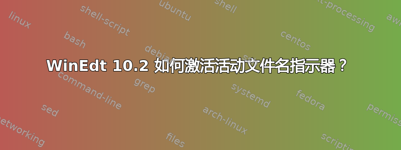 WinEdt 10.2 如何激活活动文件名指示器？